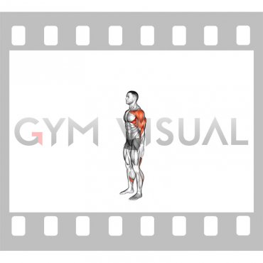 Hip Hinge Reach (male)