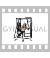 Lever Stack Seated Decline Chest Press (male)