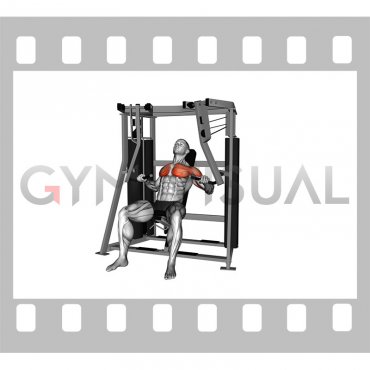 Lever Stack Seated Decline Chest Press (male)