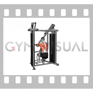 Lever Stack Seated Low Row (male)