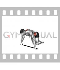 Kneeling T Spine Mobility