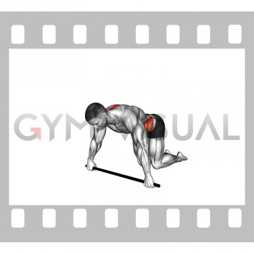 Kneeling T Spine Mobility