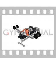 Dumbbell Half Fly