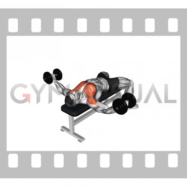 Dumbbell Half Fly