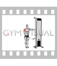 Cable Single Arm Cuffed Lateral Raise (male)