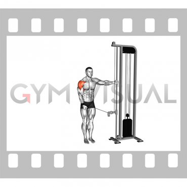 Cable Single Arm Cuffed Lateral Raise (male)