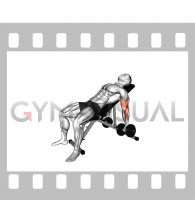 Dumbbell Incline Stretch Curl