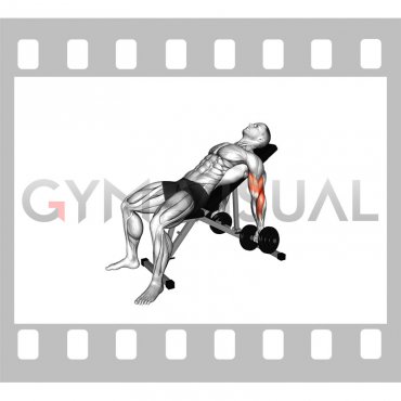 Dumbbell Incline Stretch Curl