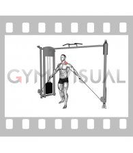 Cable Standing Shrug In