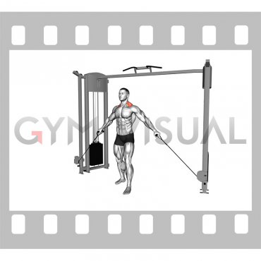 Cable Standing Shrug In