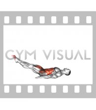 Lying Modified Candlestick