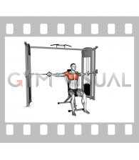 Cable Seated Chest Half Fly