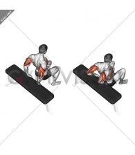 Bench Dip (knees bent)