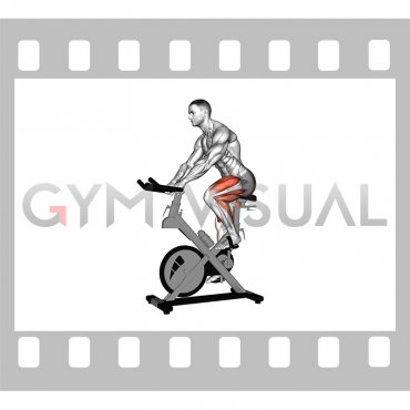 Stationary Bike Run (version 3) (male)
