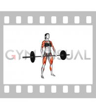 Barbell Hang Clean (female)