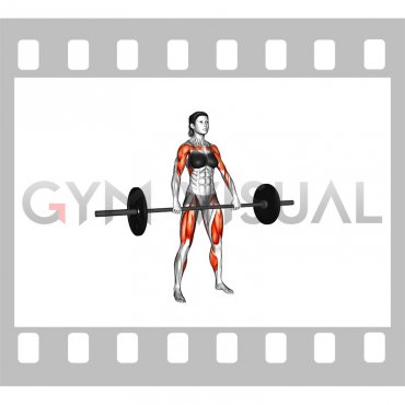 Barbell Hang Clean (female)