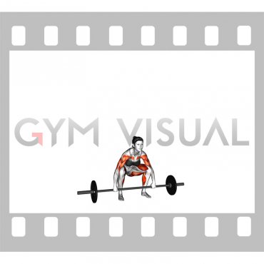 Barbell Hang Snatch (female)