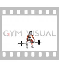 Barbell Hang Snatch Below the Knees (female)