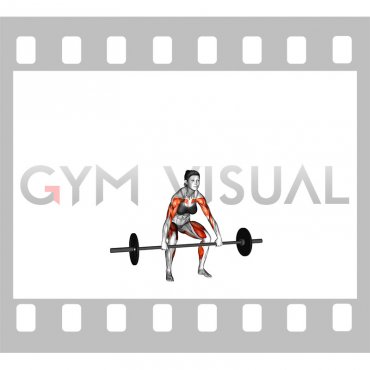 Barbell Hang Snatch Below the Knees (female)