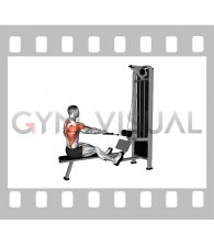 Cable Dual Handle Elbows Out Row (male)