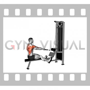 Cable Dual Handle Elbows Out Row (male)