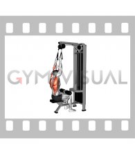 Cable Dual Handle Lat Pulldown (male)