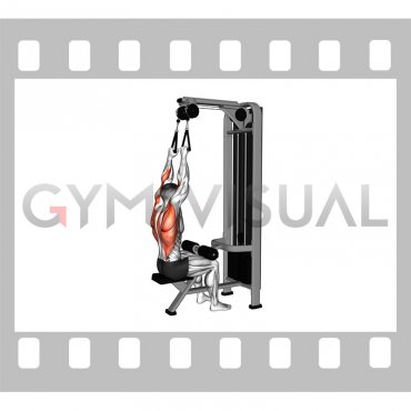 Cable Dual Handle Lat Pulldown (male)