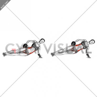 Dumbbell Side Bridge (female)