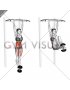 Weighted Hanging Leg Hip Raise (female)