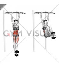 Weighted Hanging Leg Hip Raise (female)