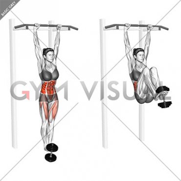 Weighted Hanging Leg Hip Raise (female)