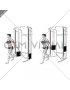 Cable Unilateral Bicep Curl (female)