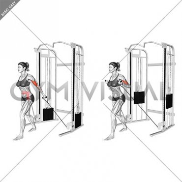 Cable Unilateral Bicep Curl (female)