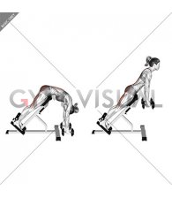 Dumbbell Hyperextension (VERSION 2) (female)