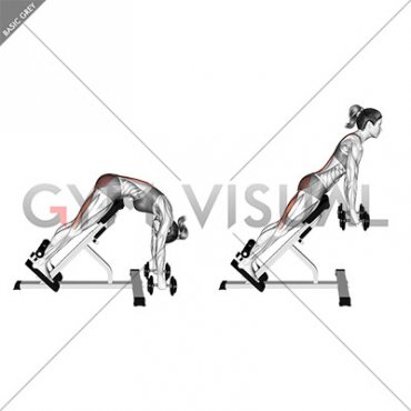 Dumbbell Hyperextension (VERSION 2) (female)