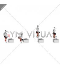 Dumbbell Jump Box (male)