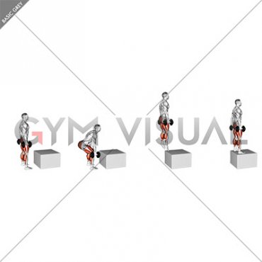 Dumbbell Jump Box (male)