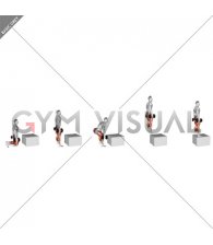 Dumbbell Kneeling to Jump Box (male)