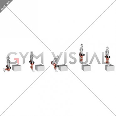 Dumbbell Kneeling to Jump Box (male)