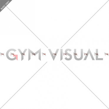 Forward and Backward Crab Walk (male)