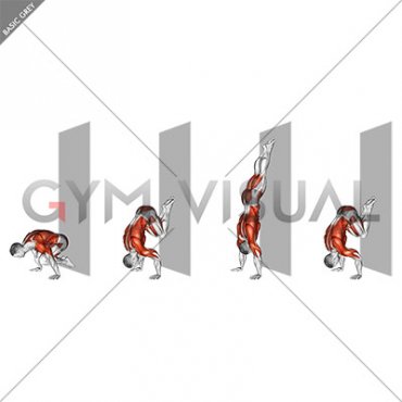 Wall Assisted Handstand to Tuck Planche Negative (male)