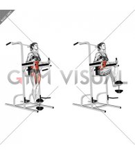 Weighted Captains Chair Leg Raise (female)