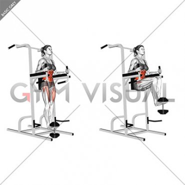 Weighted Captains Chair Leg Raise (female)