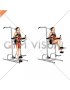 Weighted Captains Chair Leg Raise (female)
