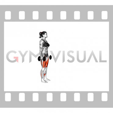 Dumbbell Lunge (female)