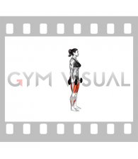 Dumbbell Rear Lunge (female)