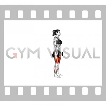Dumbbell Rear Lunge (female)