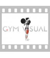 Barbell Rear Lunge (female)