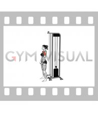Cable Front Raise (female)