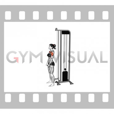 Cable Front Raise (female)